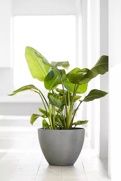 Ecopots South Africa