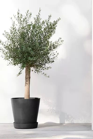 Ecopots South Africa