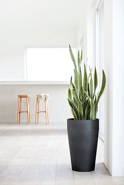 Ecopots South Africa