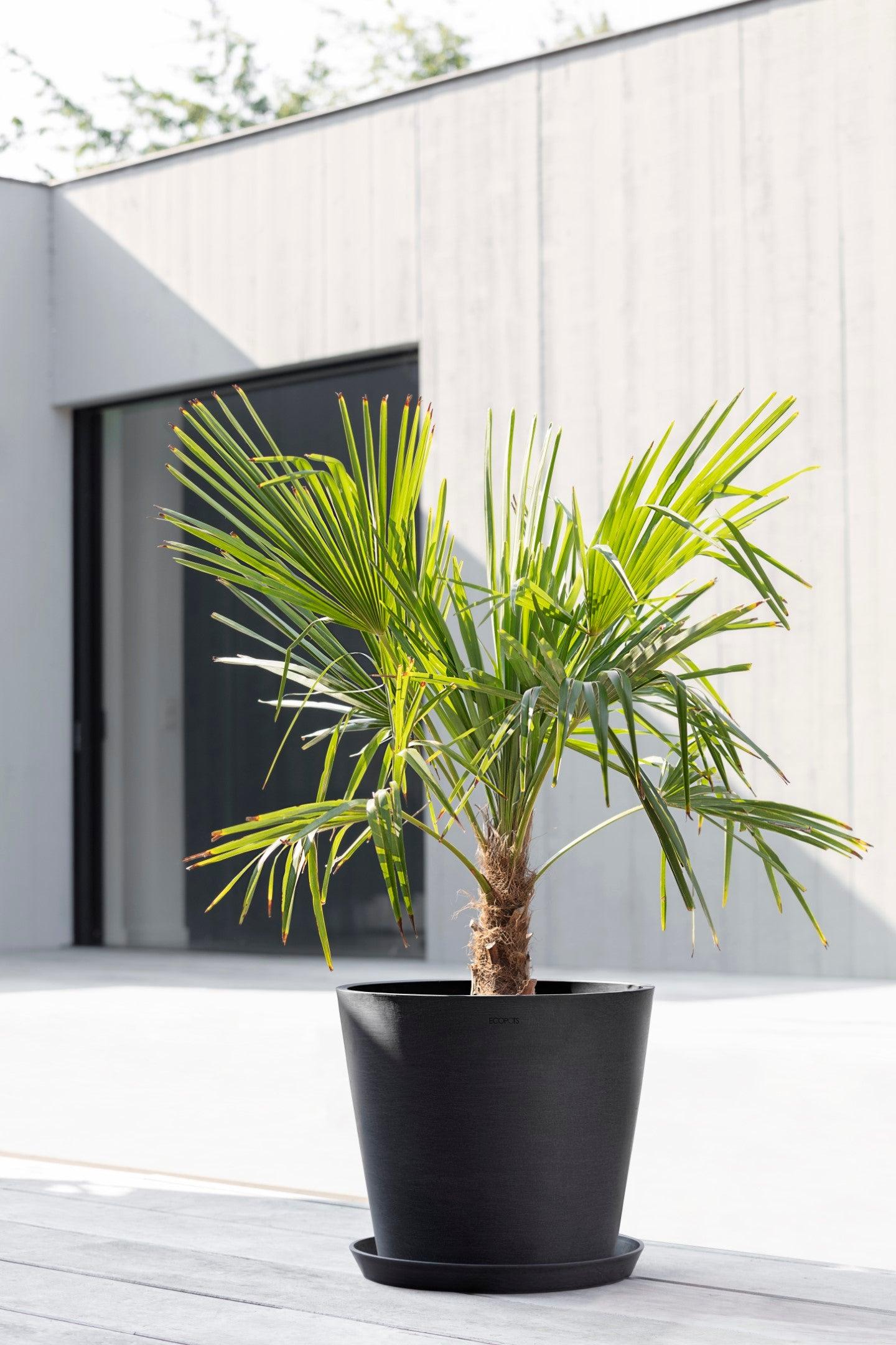 ECOPOTS© Amsterdam 40 cm - Ecopots South Africa