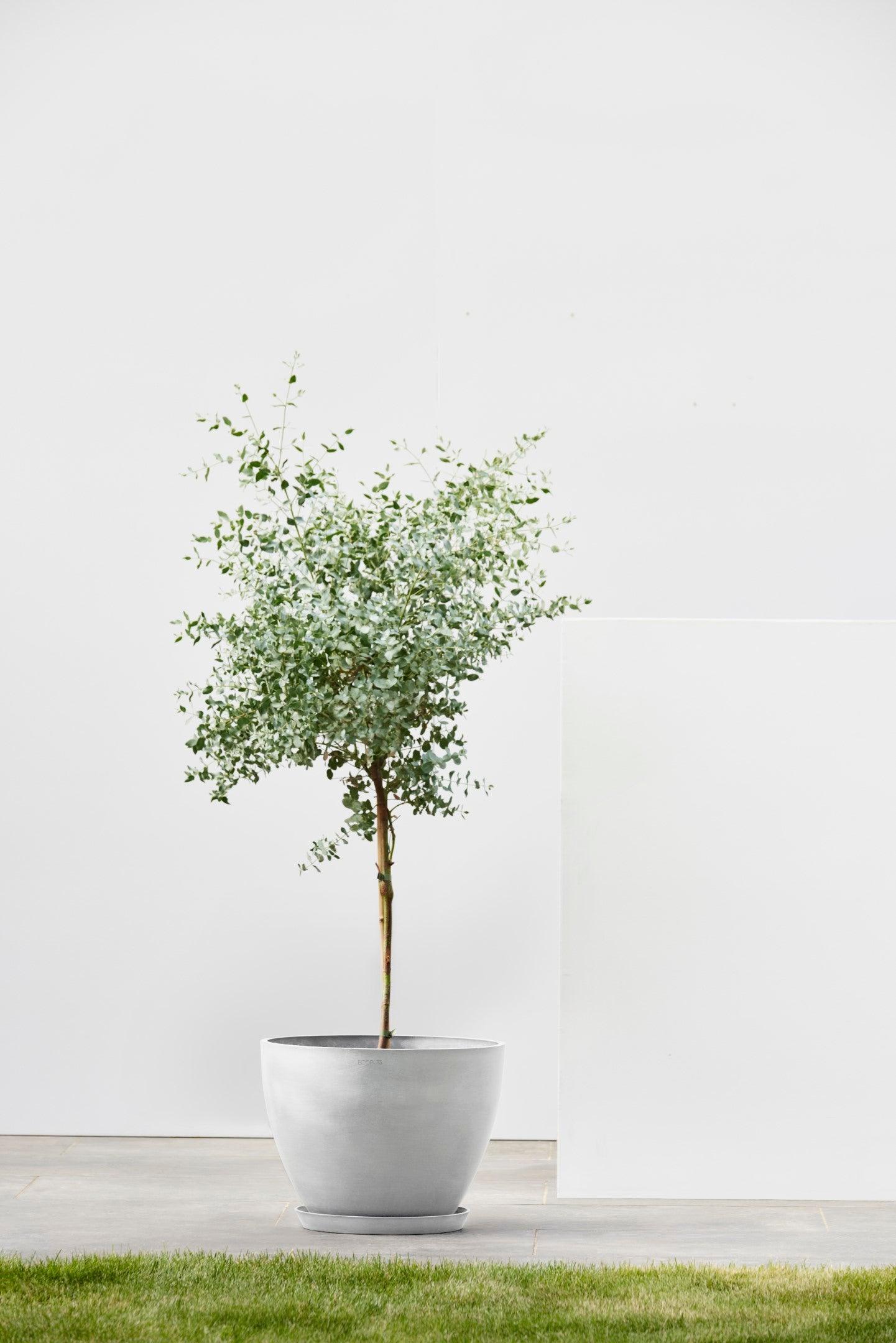 ECOPOTS© Antwerp 30 cm - Ecopots South Africa