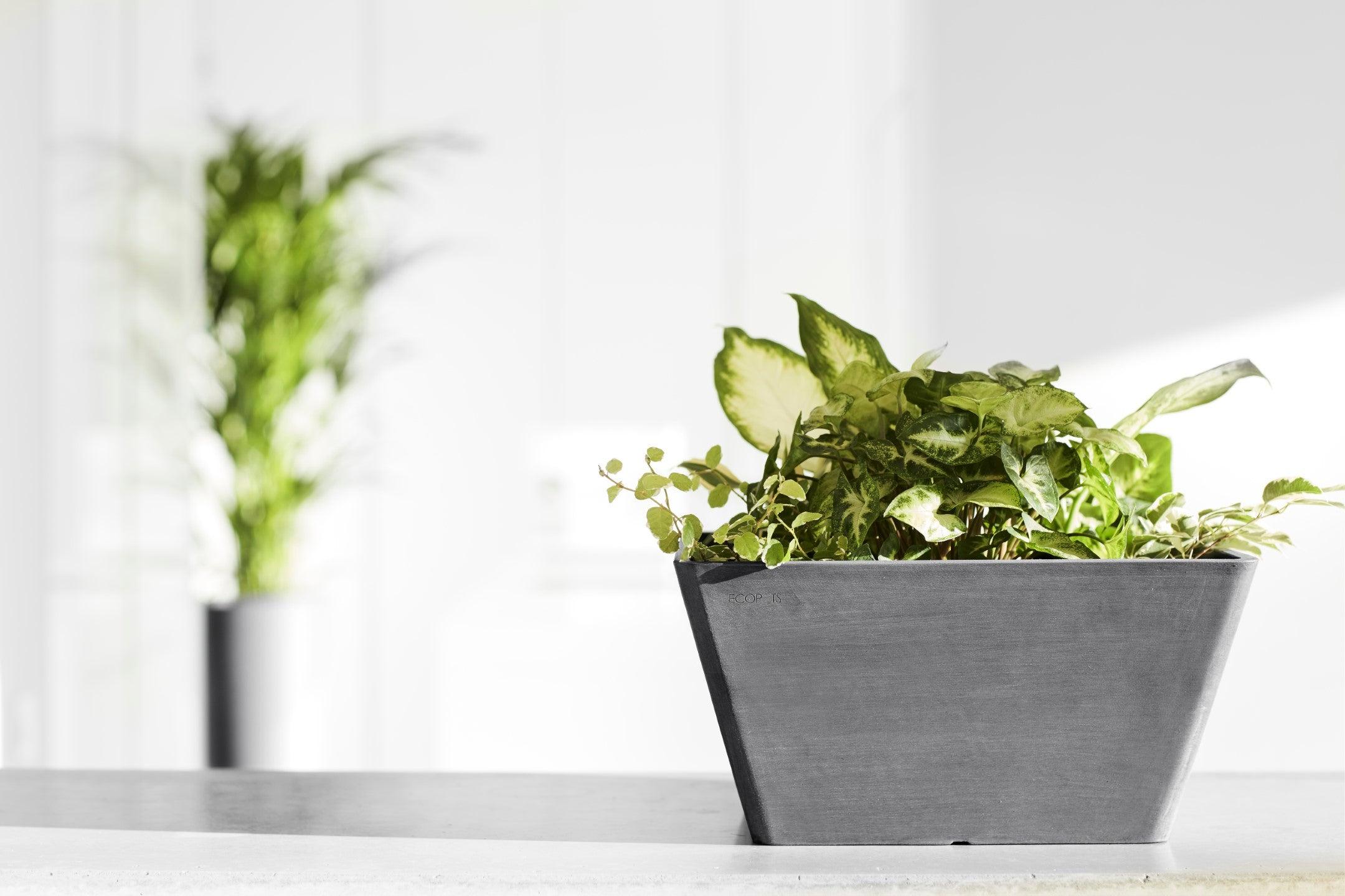 ECOPOTS© Berlin 30 cm - Ecopots South Africa