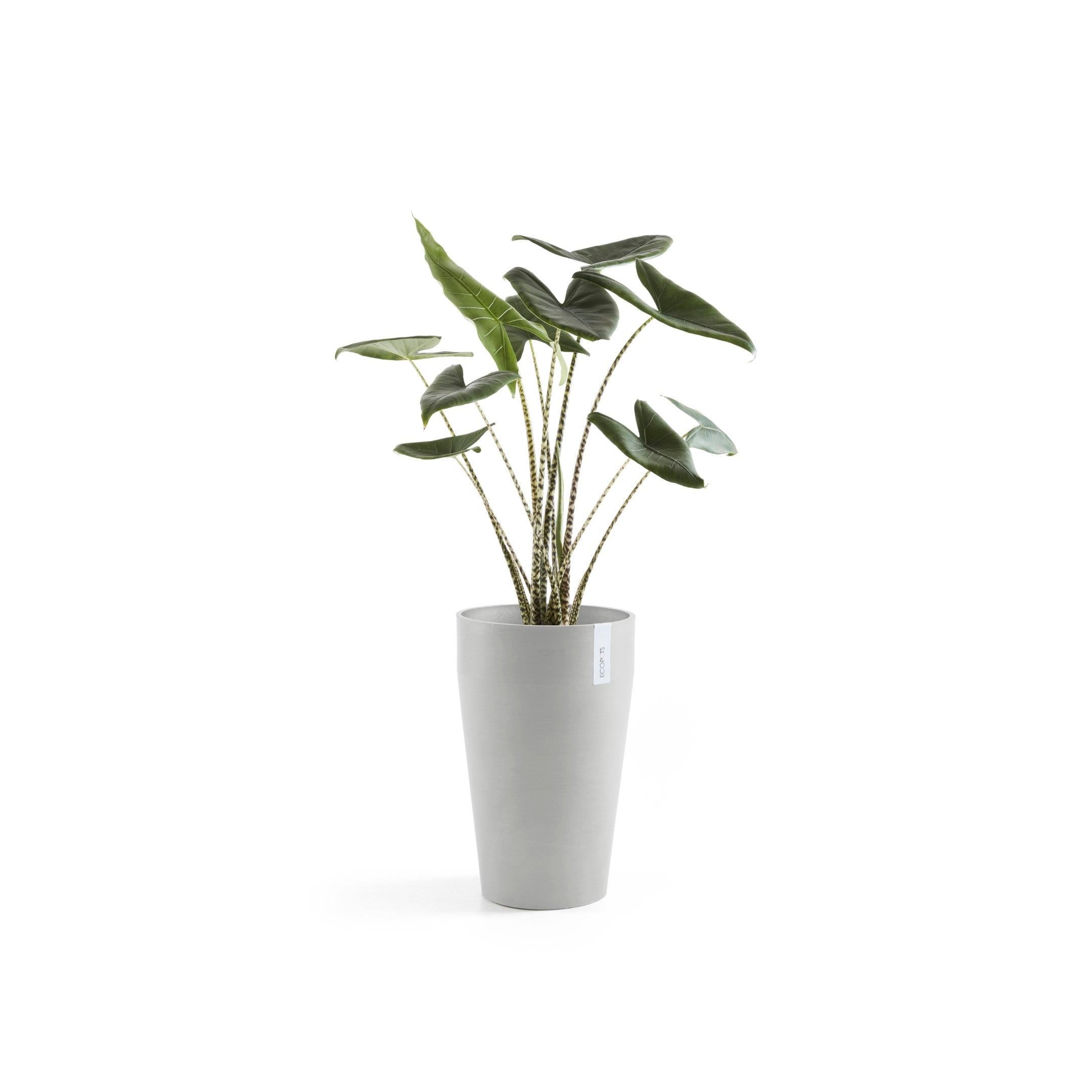 ECOPOTS© Sankara Mid High 55 cm
