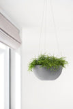 ECOPOTS© Hanging Brussels 27 cm - Ecopots South Africa