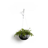 ECOPOTS© Hanging Brussels 27 cm - Ecopots South Africa