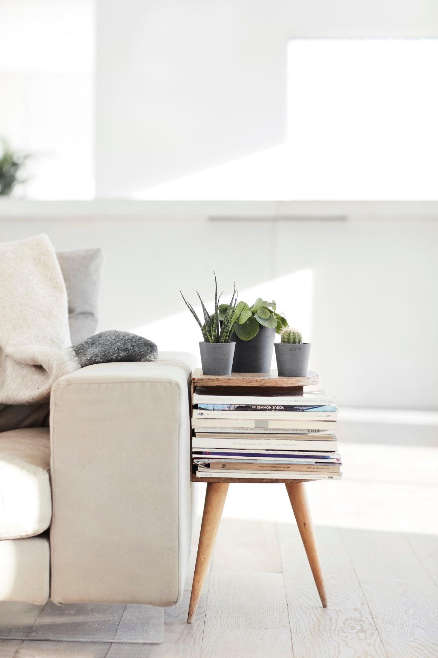 ECOPOTS© Amsterdam Mini 13 cm - Ecopots South Africa