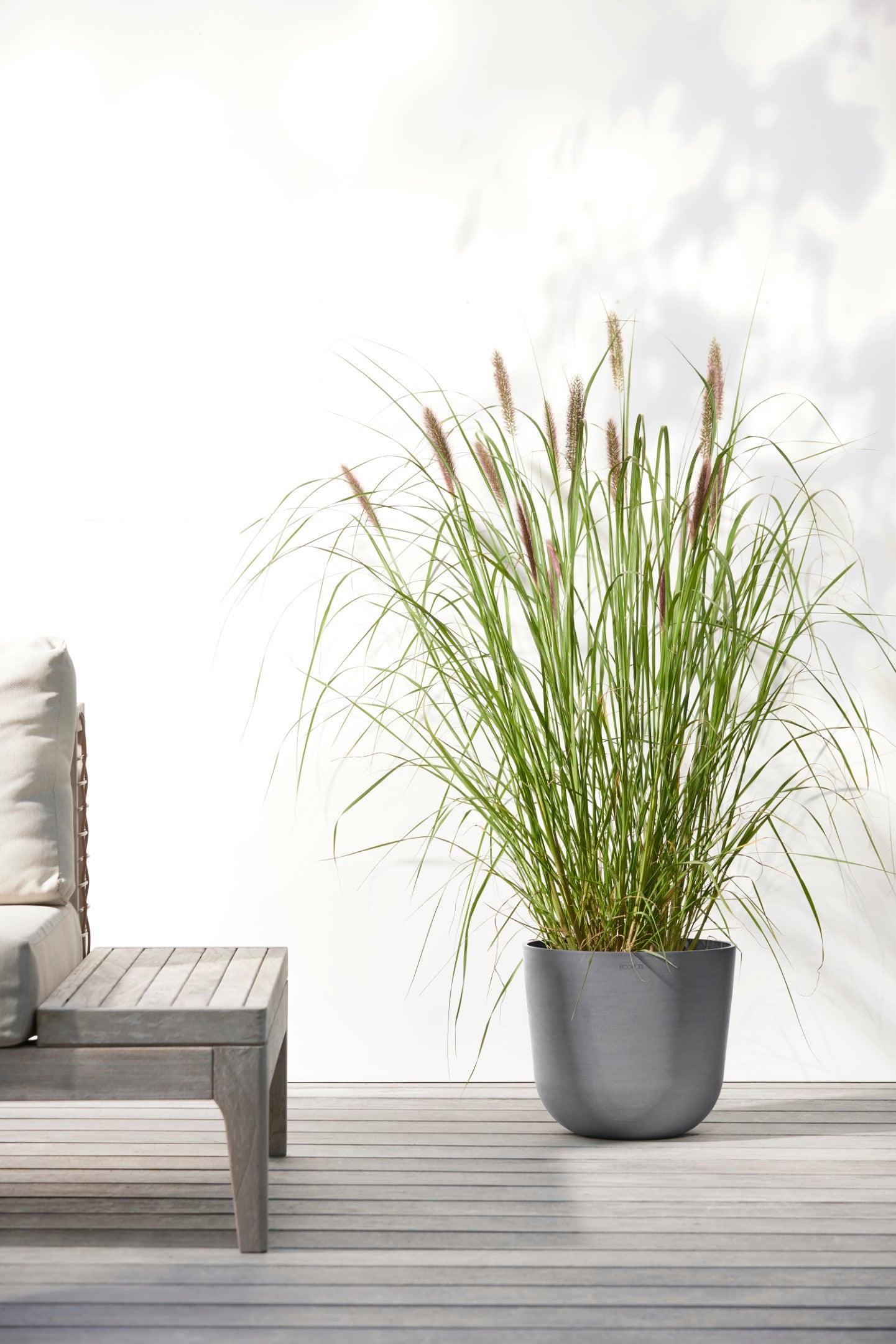 ECOPOTS© Oslo 25 cm - Ecopots South Africa