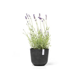 ECOPOTS© Oslo Mini 19 cm - Ecopots South Africa