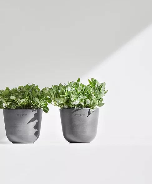 Ecopots South Africa