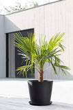 ECOPOTS© Amsterdam 40 cm - Ecopots South Africa