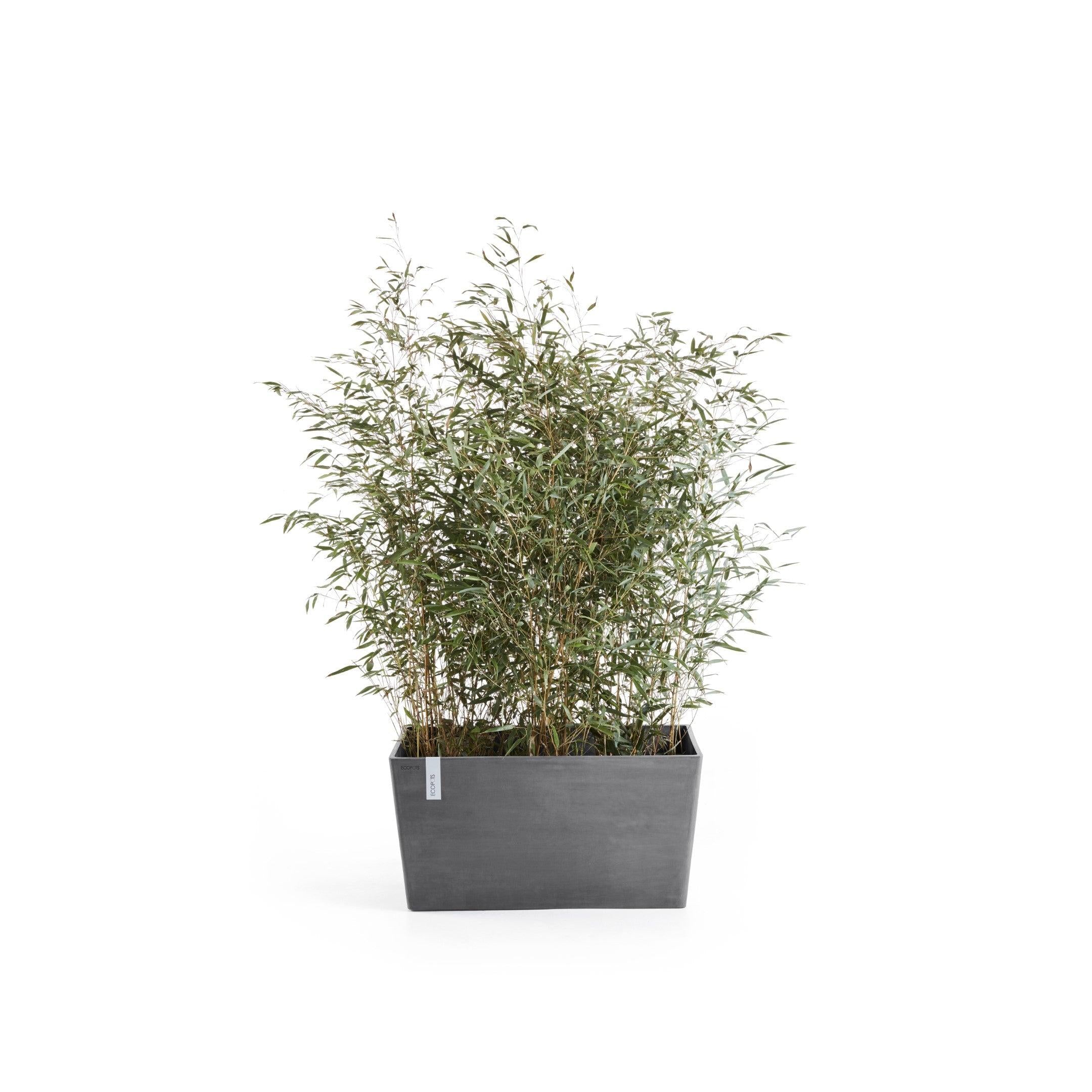 ECOPOTS© Paris 100 cm - Ecopots South Africa