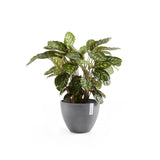 ECOPOTS© Antwerp 40 cm