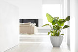 ECOPOTS© Antwerp 40 cm - Ecopots South Africa
