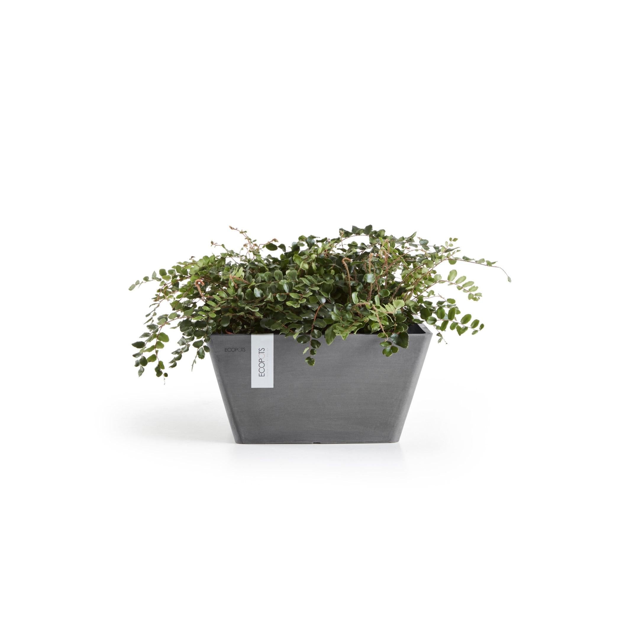 ECOPOTS© Berlin 30 cm - Ecopots South Africa
