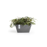 ECOPOTS© Berlin 30 cm - Ecopots South Africa
