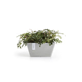 ECOPOTS© Berlin 30 cm
