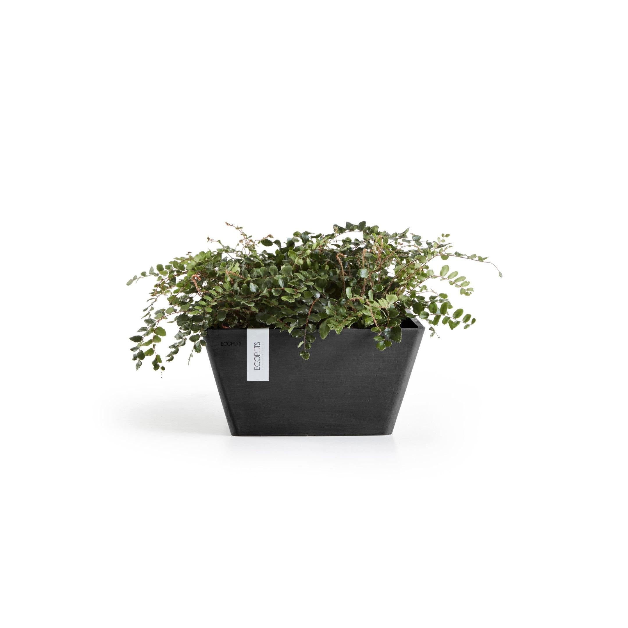 ECOPOTS© Berlin 30 cm - Ecopots South Africa