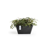 ECOPOTS© Berlin 30 cm - Ecopots South Africa
