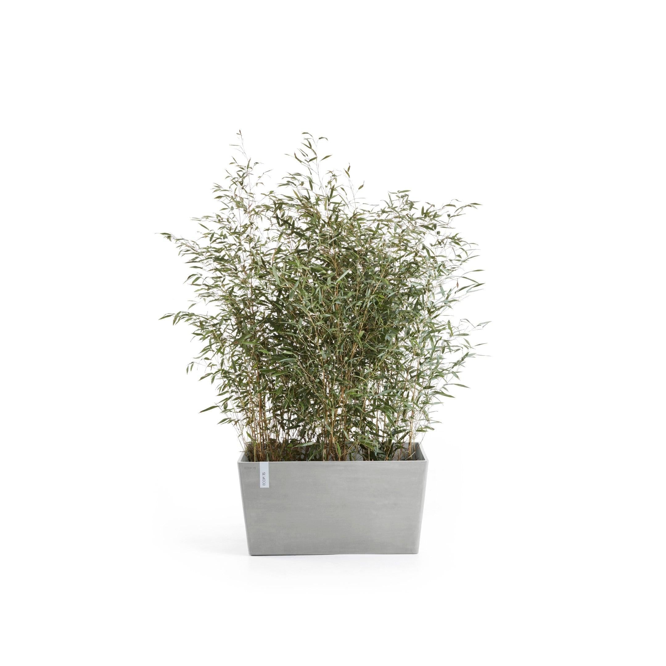 ECOPOTS© Paris 80 cm