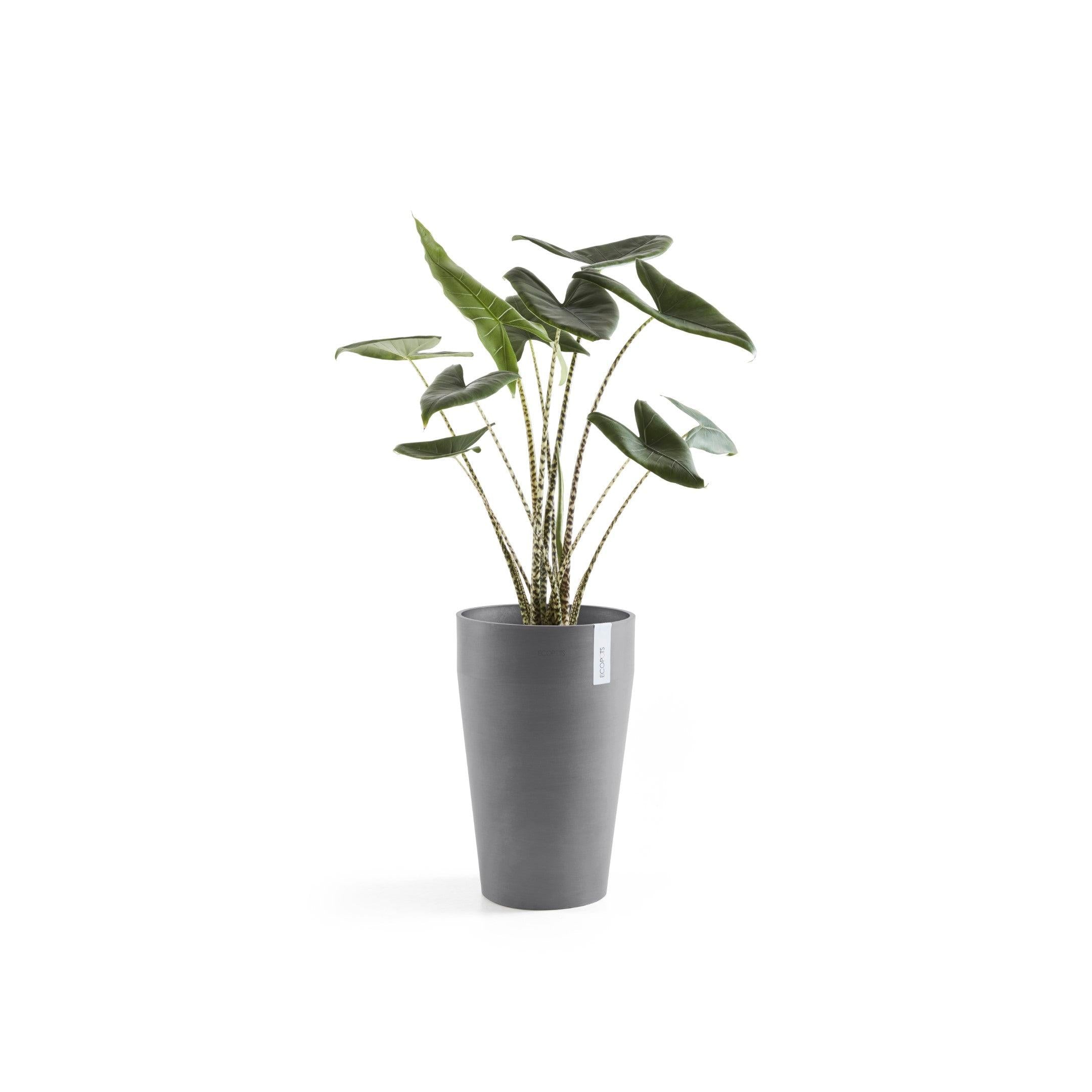 ECOPOTS© Sankara Mid High 55 cm - Ecopots South Africa