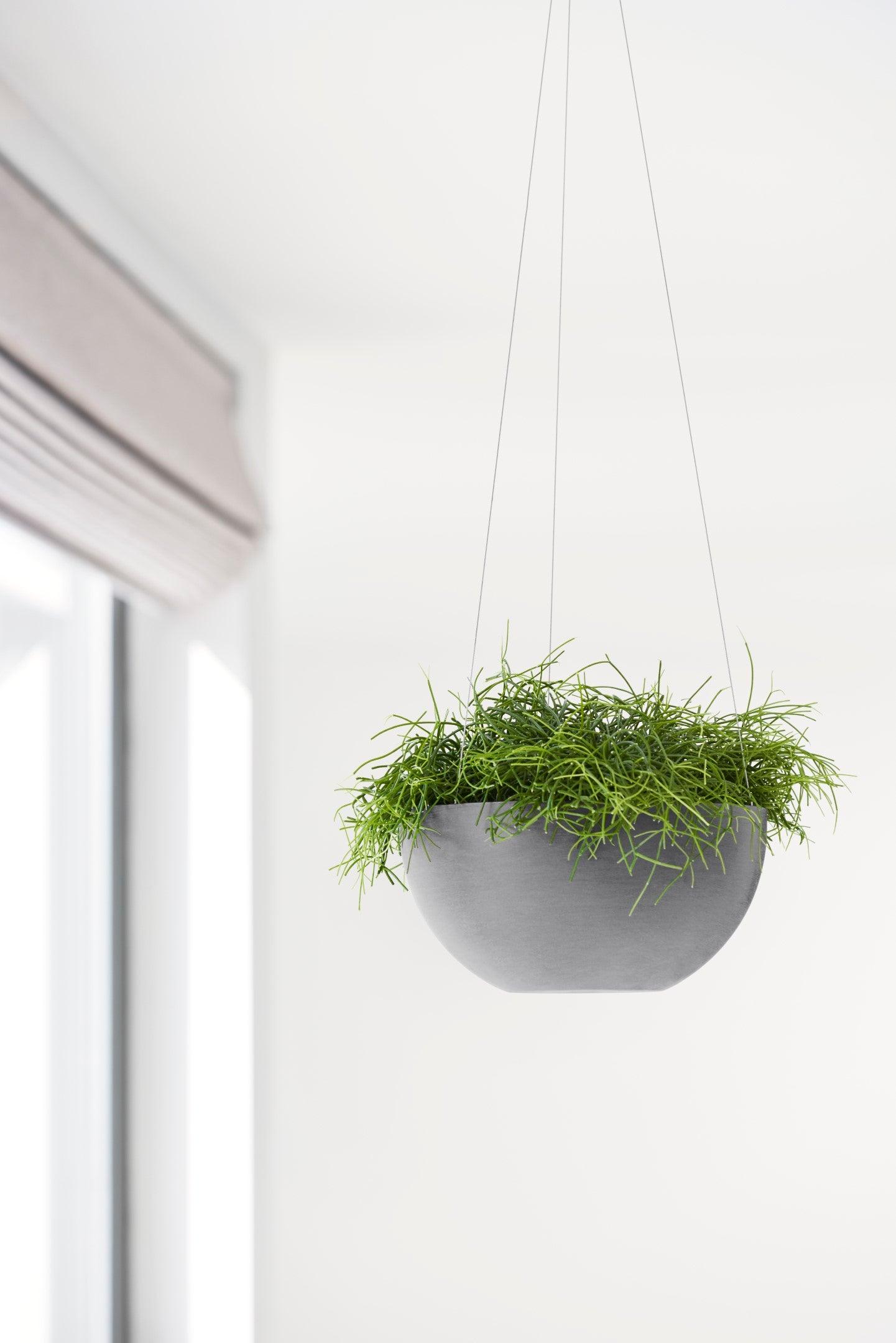 ECOPOTS© Hanging Brussels 27 cm - Ecopots South Africa