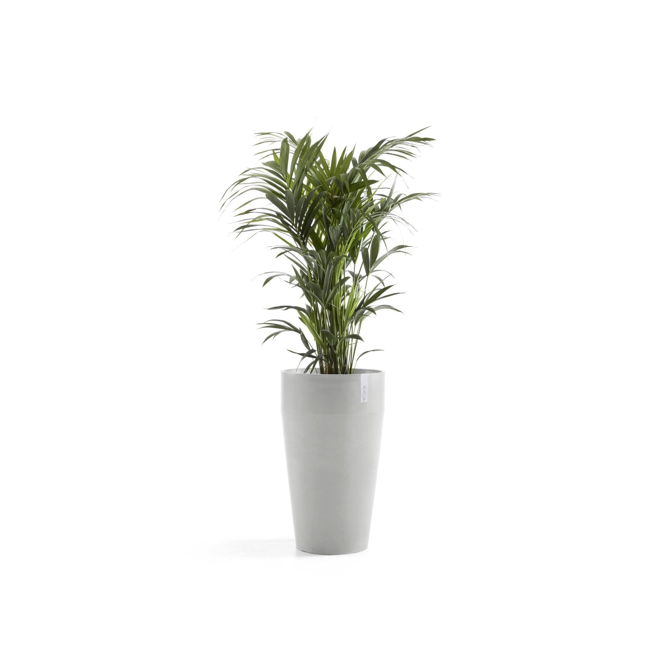 ECOPOTS© Sankara High 75 cm - Ecopots South Africa