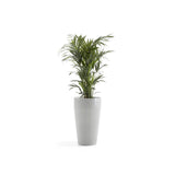 ECOPOTS© Sankara High 75 cm - Ecopots South Africa