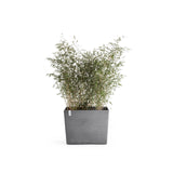 ECOPOTS© Paris Wheels 85 cm - Ecopots South Africa
