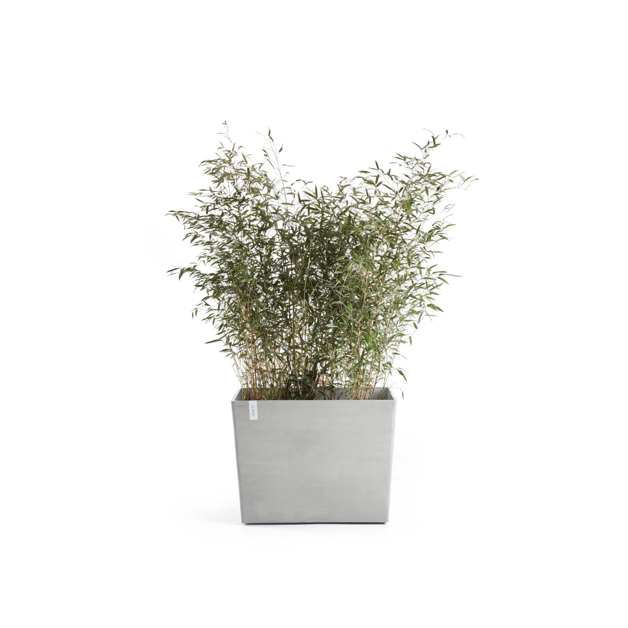ECOPOTS© Paris Wheels 85 cm