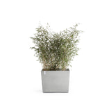 ECOPOTS© Paris Wheels 85 cm