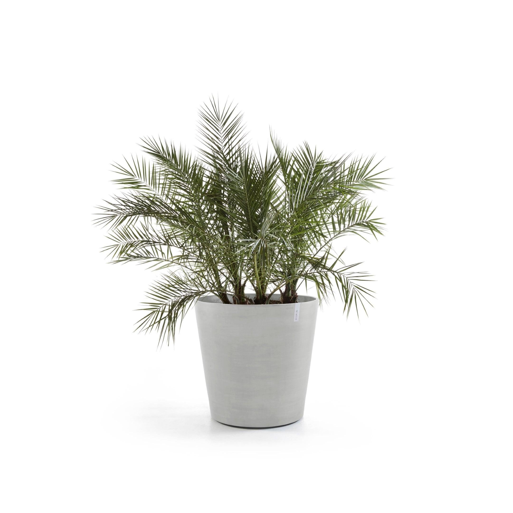 ECOPOTS© Amsterdam Wheels 80 cm - Ecopots South Africa
