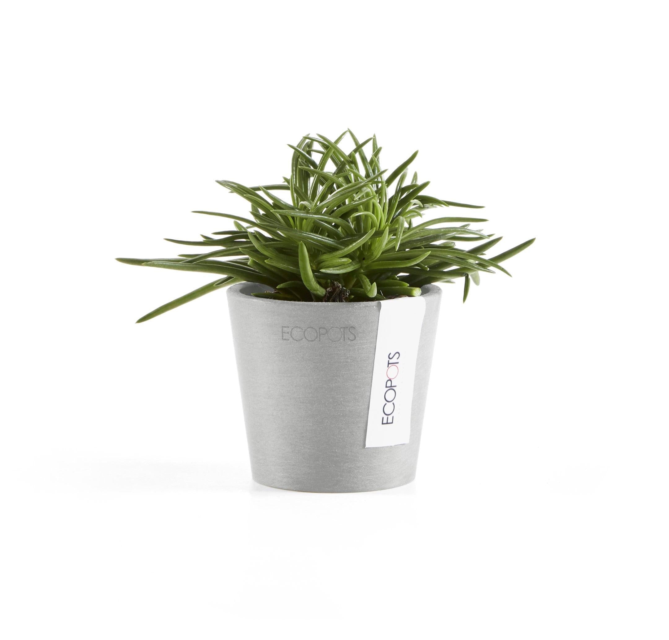 ECOPOTS© Amsterdam 8 cm