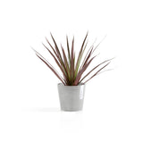 ECOPOTS© Amsterdam Mini 13 cm