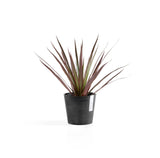 ECOPOTS© Amsterdam Mini 13 cm - Ecopots South Africa