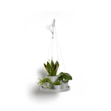 ECOPOTS© Hanging Saucer 36  cm - Ecopots South Africa