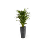 ECOPOTS© Amsterdam Mid High 50 cm - Ecopots South Africa
