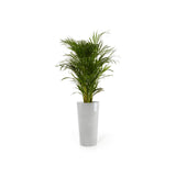 ECOPOTS© Amsterdam Mid High 50 cm - Ecopots South Africa