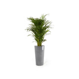 ECOPOTS© Amsterdam High 70 cm - Ecopots South Africa