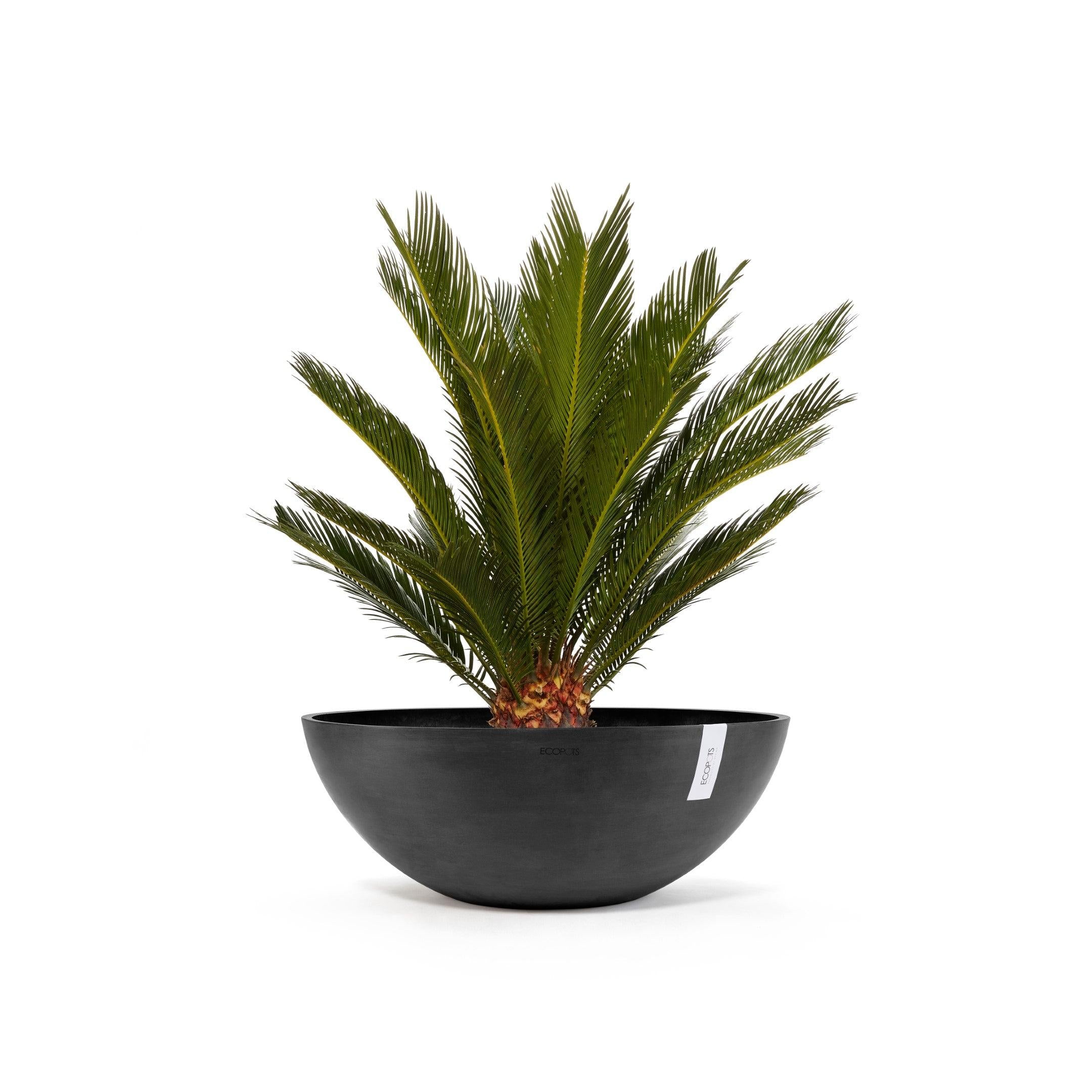 ECOPOTS© Vienna 70 cm - Ecopots South Africa