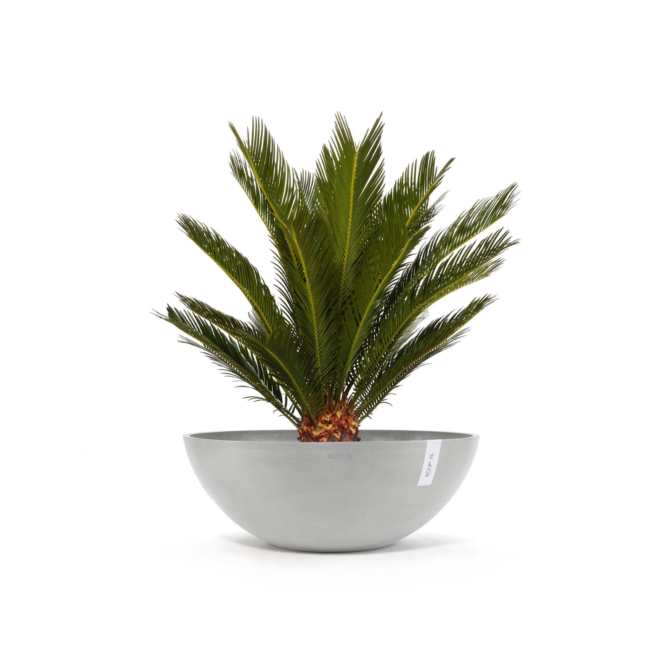 ECOPOTS© Vienna 70 cm - Ecopots South Africa