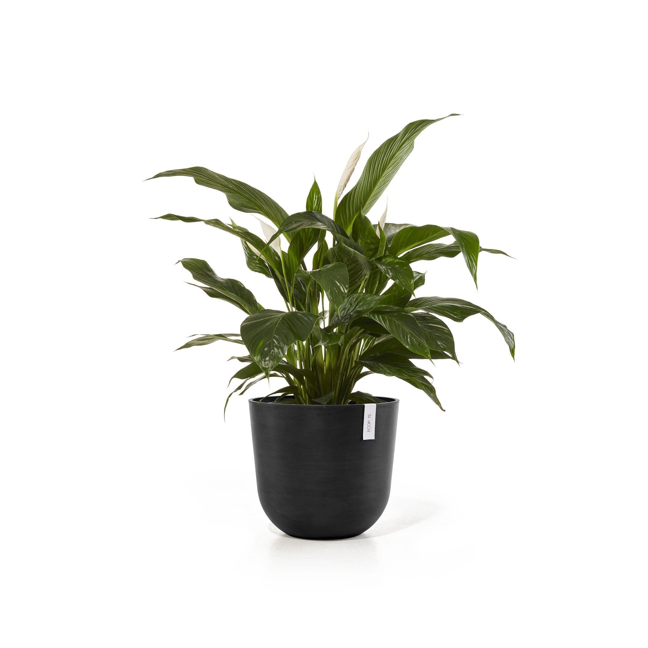 ECOPOTS© Oslo 45 cm - Ecopots South Africa