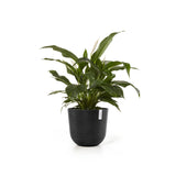ECOPOTS© Oslo 45 cm - Ecopots South Africa