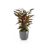 ECOPOTS© Oslo 35 cm