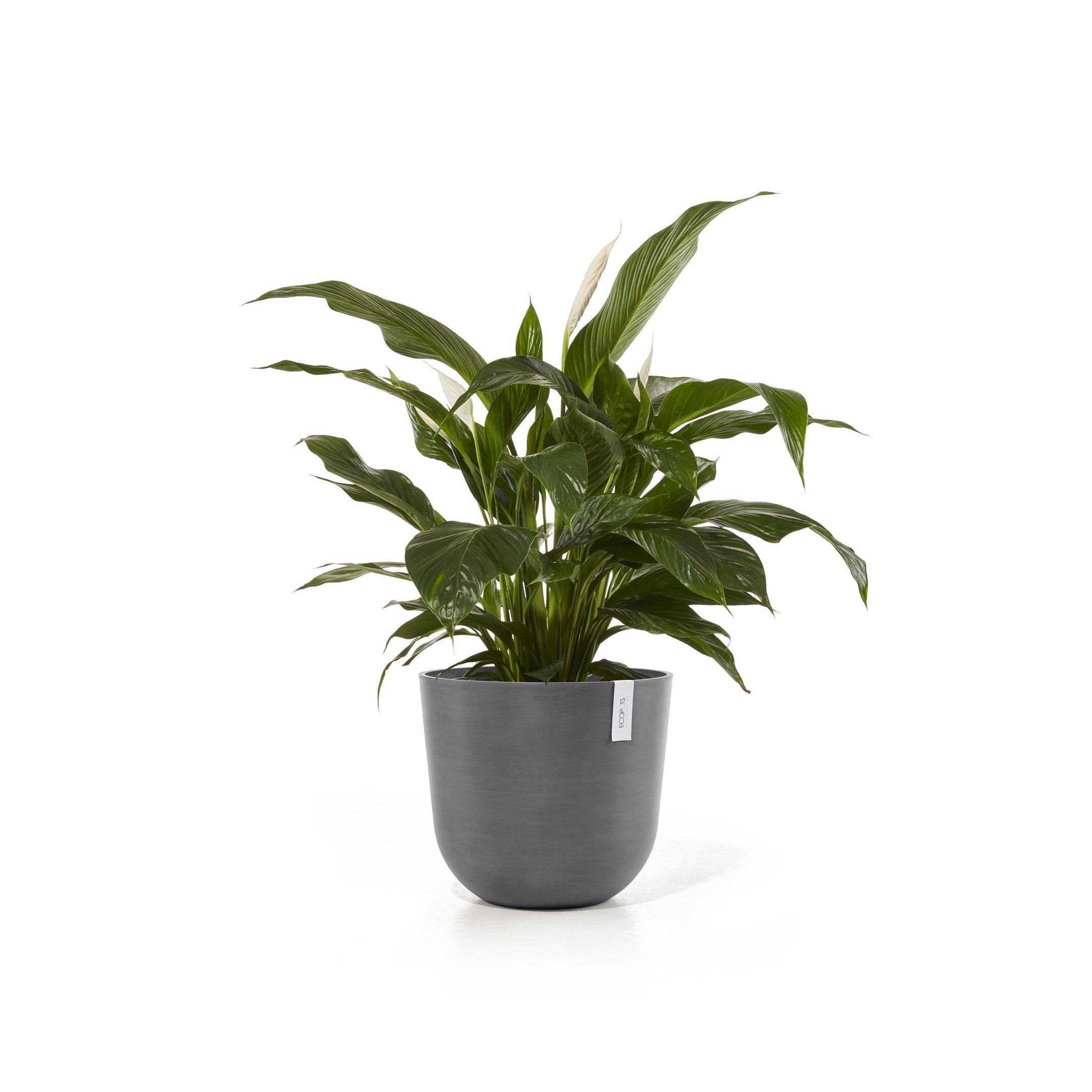 ECOPOTS© Oslo 45 cm - Ecopots South Africa