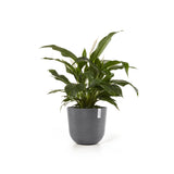 ECOPOTS© Oslo 45 cm - Ecopots South Africa
