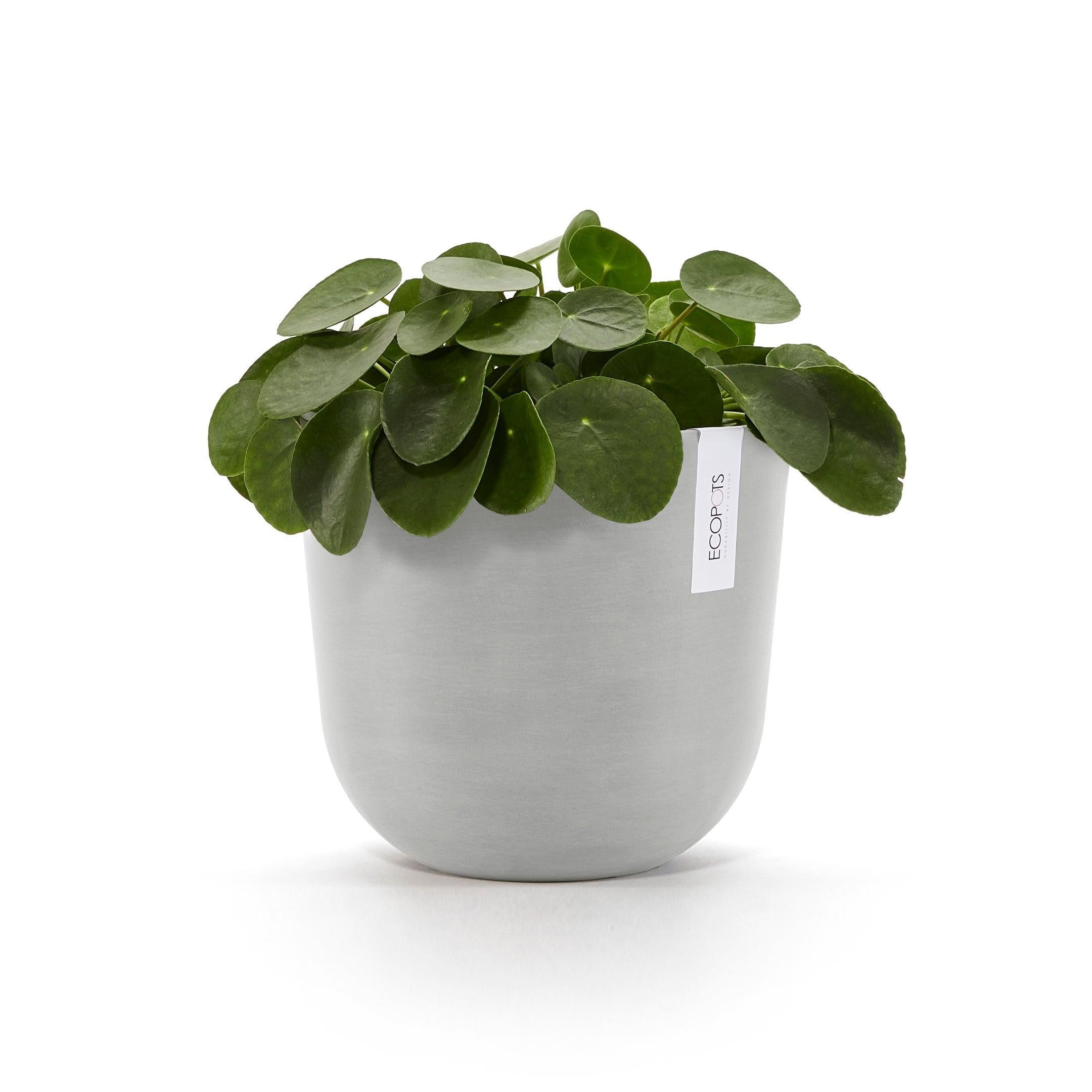 ECOPOTS© Oslo 25 cm - Ecopots South Africa