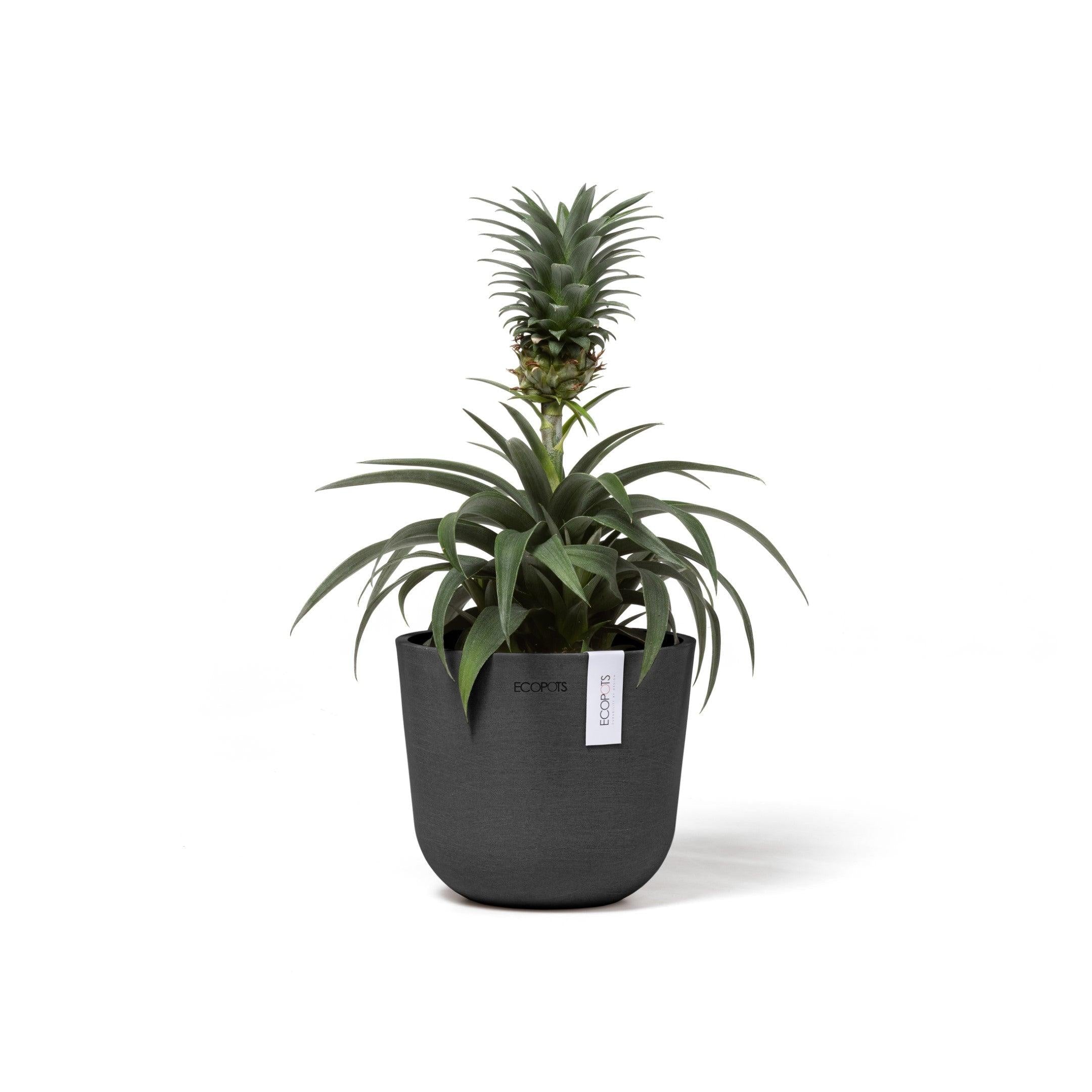 ECOPOTS© Oslo Mini 16 cm