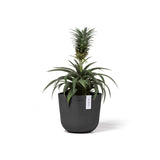 ECOPOTS© Oslo Mini 16 cm
