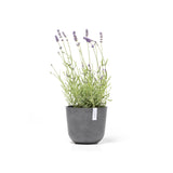 ECOPOTS© Oslo Mini 19 cm - Ecopots South Africa
