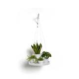 ECOPOTS© Hanging Saucer 36  cm